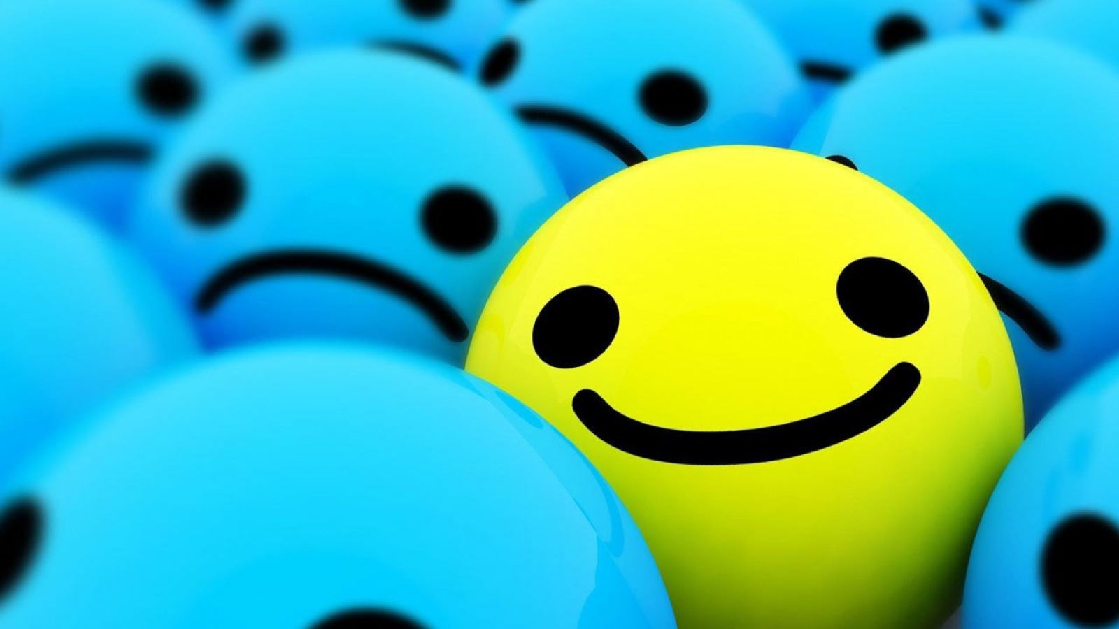 website-resort-doc-dao